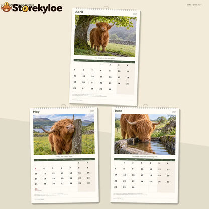 🔥Unreasonably Pleased 2027 A4 Wall Calendar - Funny Highland Cows